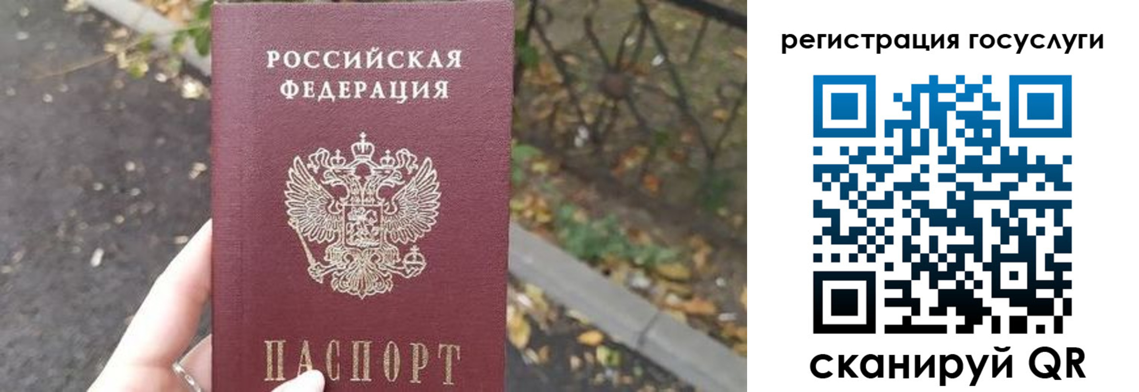 купить прописку в Няндоме